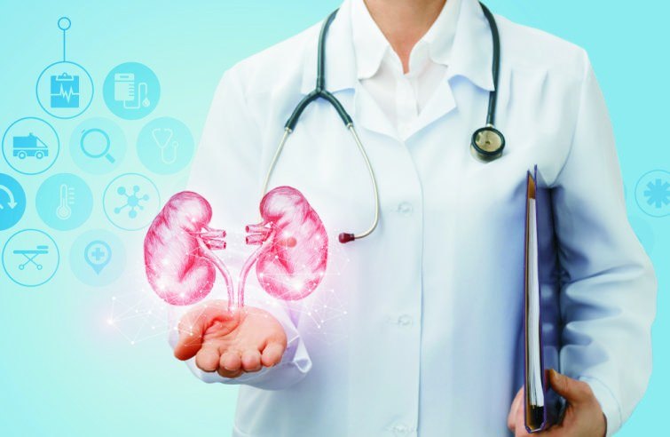 Nephrology kidney care support